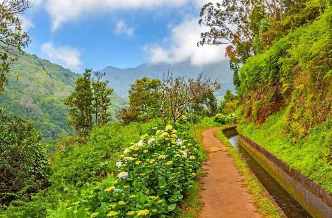 8 daagse singlereis Veelzijdig Madeira