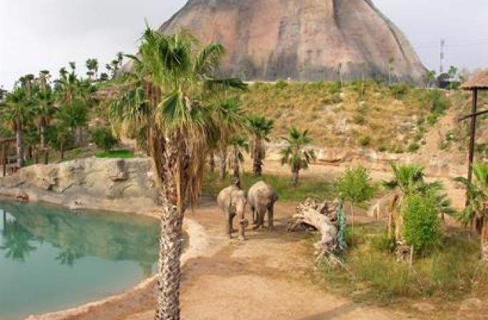 Magic Natura Animal Waterpark & Polynesian Lodge