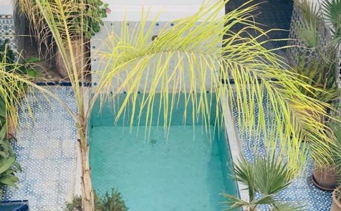 Riad Ifoulki