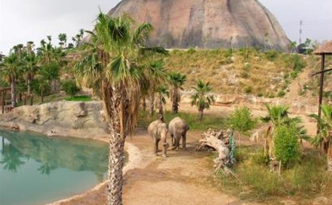 Magic Natura Animal Waterpark & Polynesian Lodge