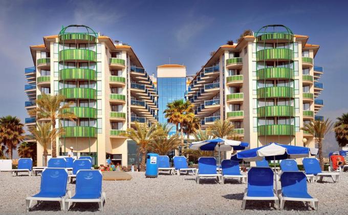 Kaktus Albir