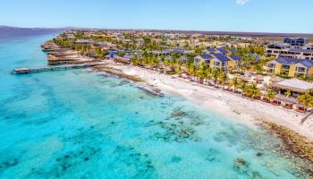 Delfins Beach Resort Bonaire Tapestry Collection by Hilton