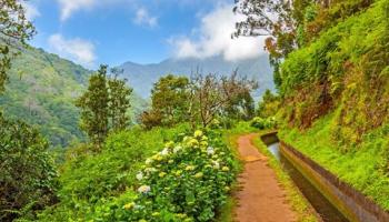 8 daagse singlereis Veelzijdig Madeira