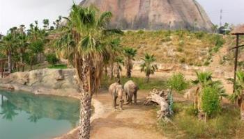 Magic Natura Animal Waterpark & Polynesian Lodge Magic Natura Animal Waterpark & Polynesian Lodge