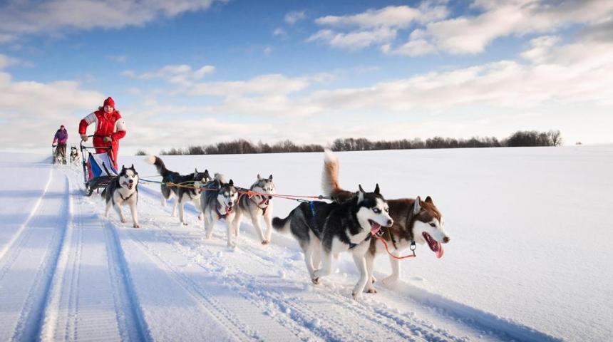 Lost in Levi Lost in Levi