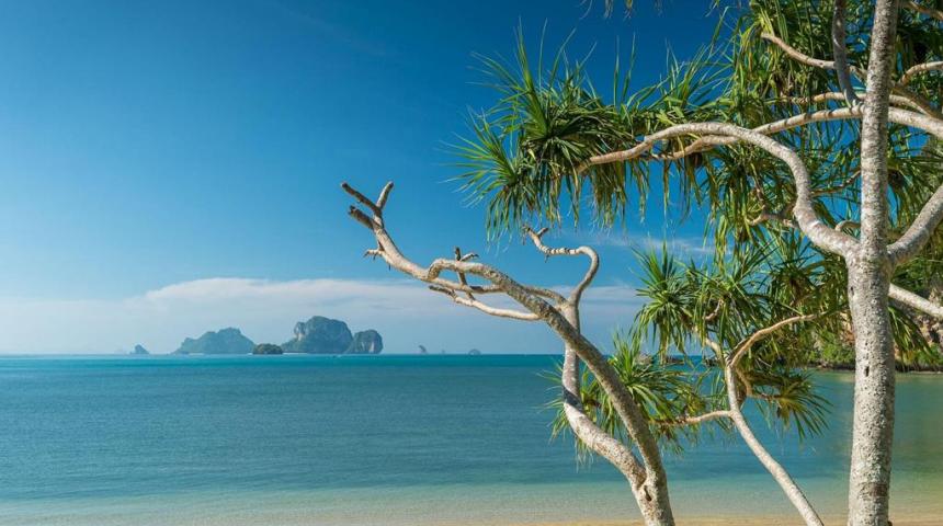 Medplaya Hotel Flamingo Oasis Medplaya Hotel Flamingo Oasis