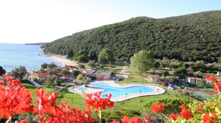 Oliva